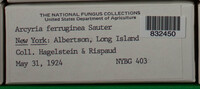 Image Associated With the Occurence